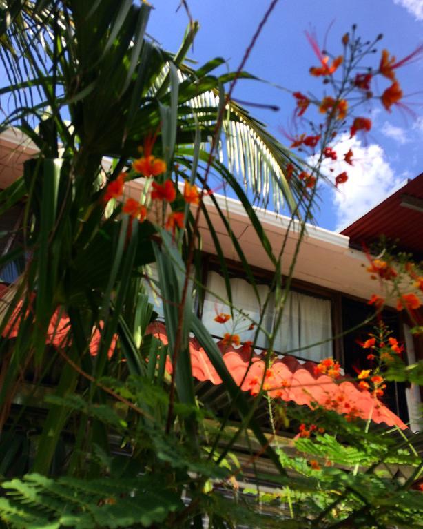 Flamingo Cabinas Hotel Playa Flamingo Zewnętrze zdjęcie